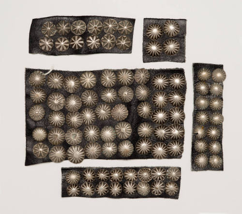 Collection of 91 buttons sewn on 5 leather pieces