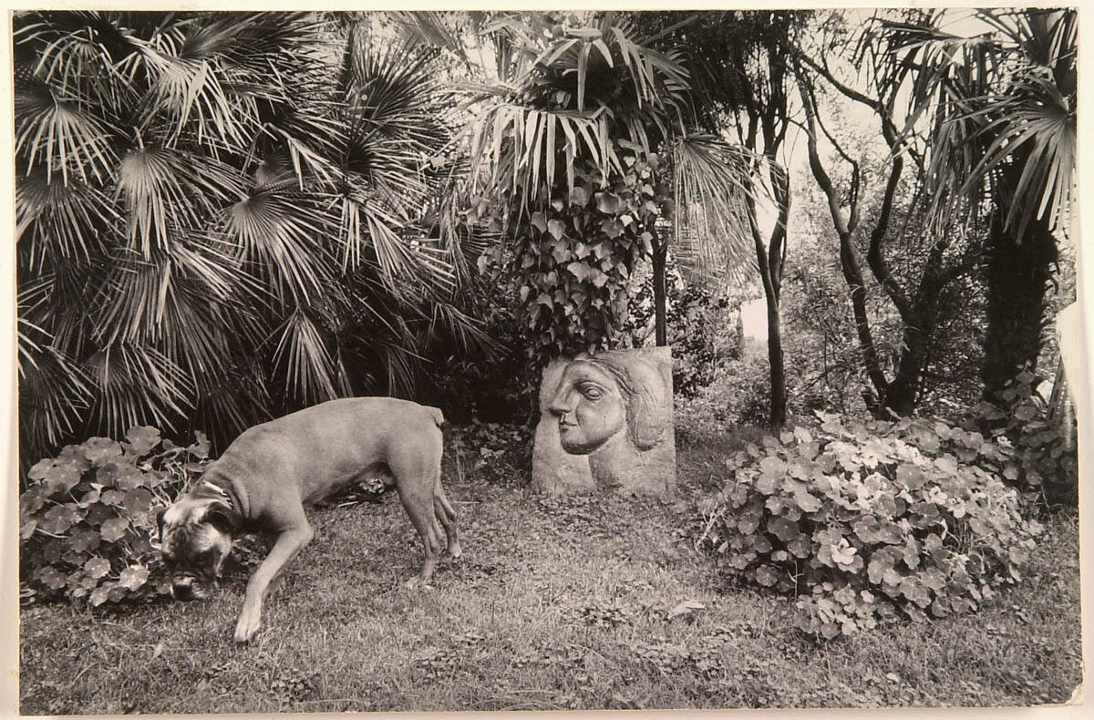 Bronze Owl, 1950, Sits on Mossy Wall Deep in the Garden, Overlooking Woman's Head, Bronze, 1932