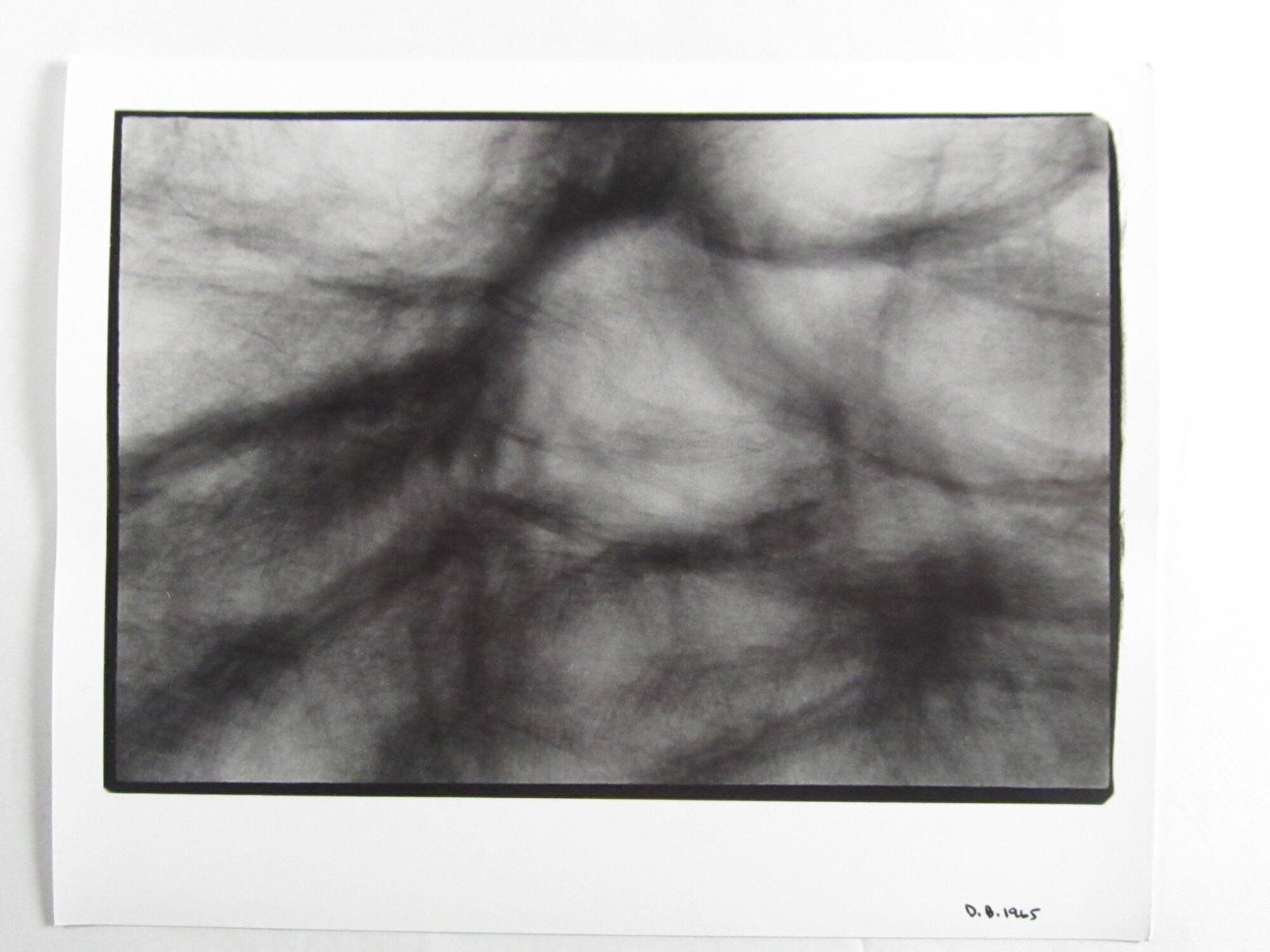 Tree Drawing