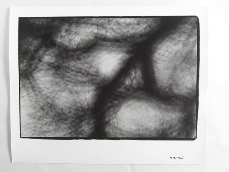 Tree Drawing