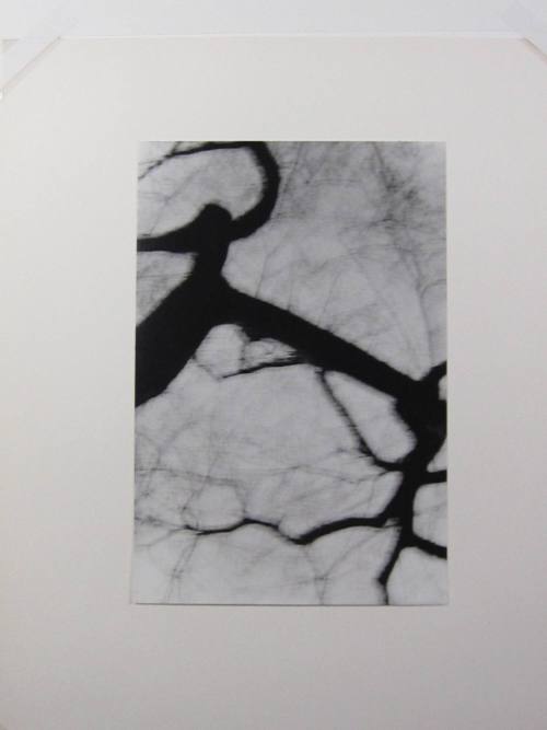 Tree Drawing