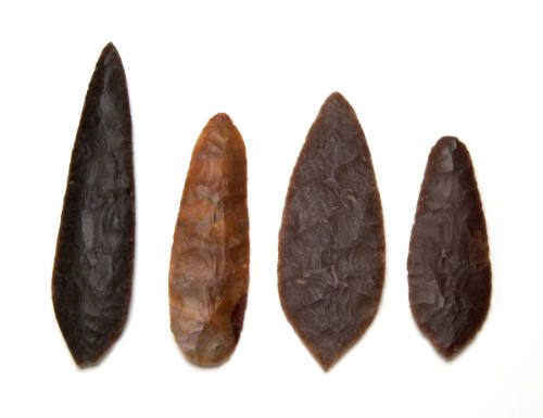 Leaf blade