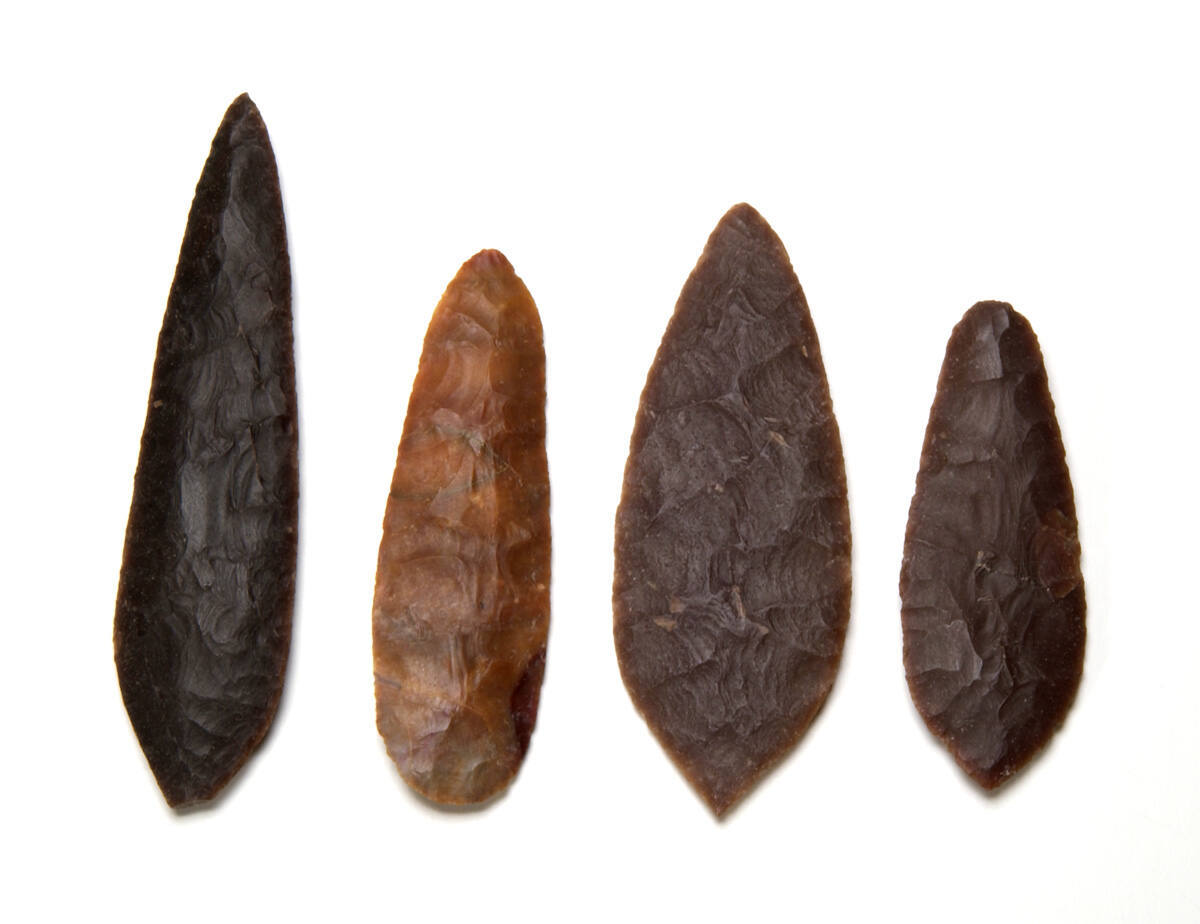 Leaf blade