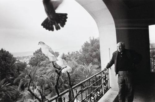Picasso on La Californie's third-floor balcony, where his pigeons lived. Cannes and the Mediterranean fill the horizon beyond his garden