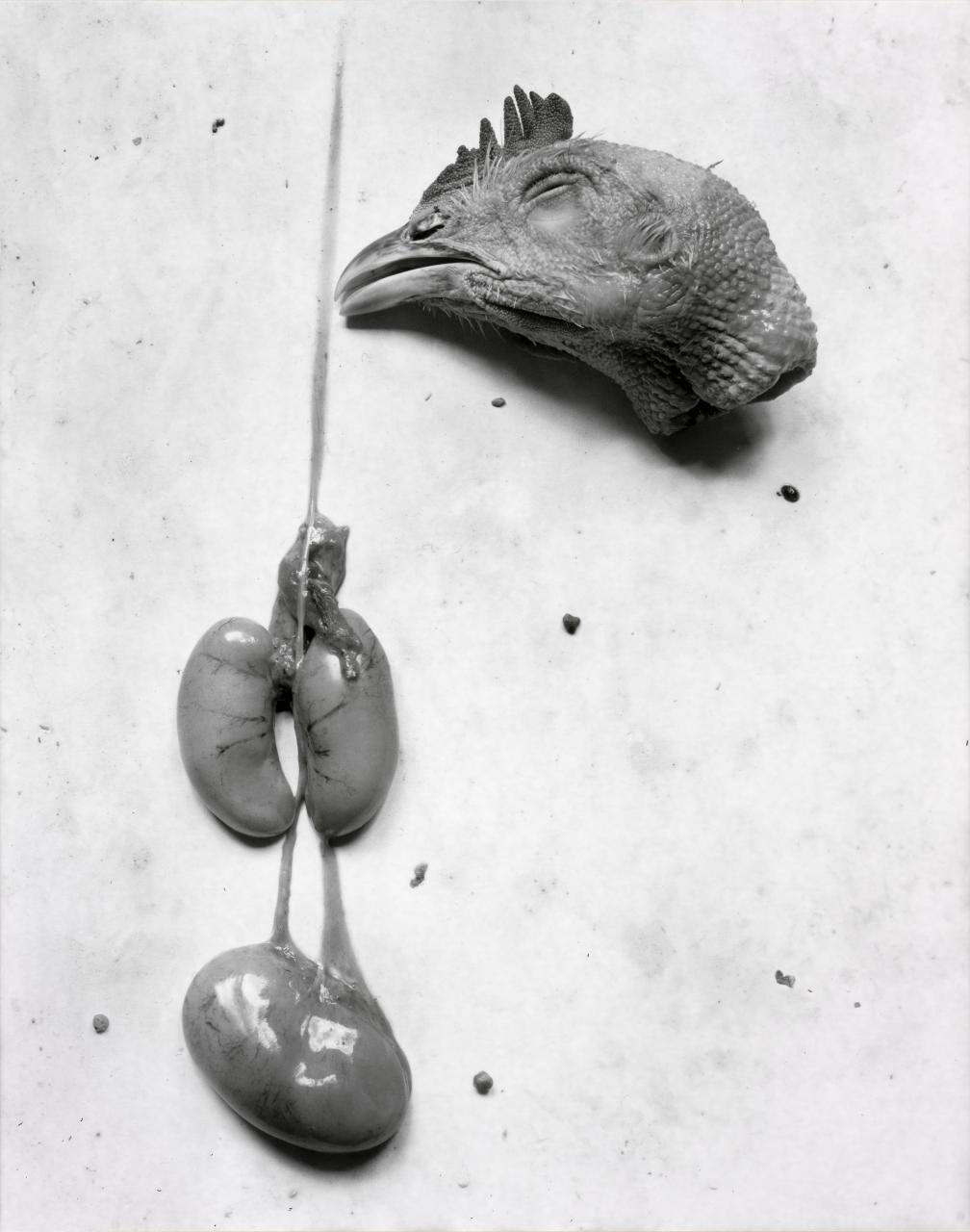 Chicken Parts