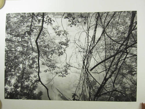 recto image overall