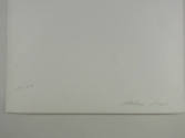 verso detail