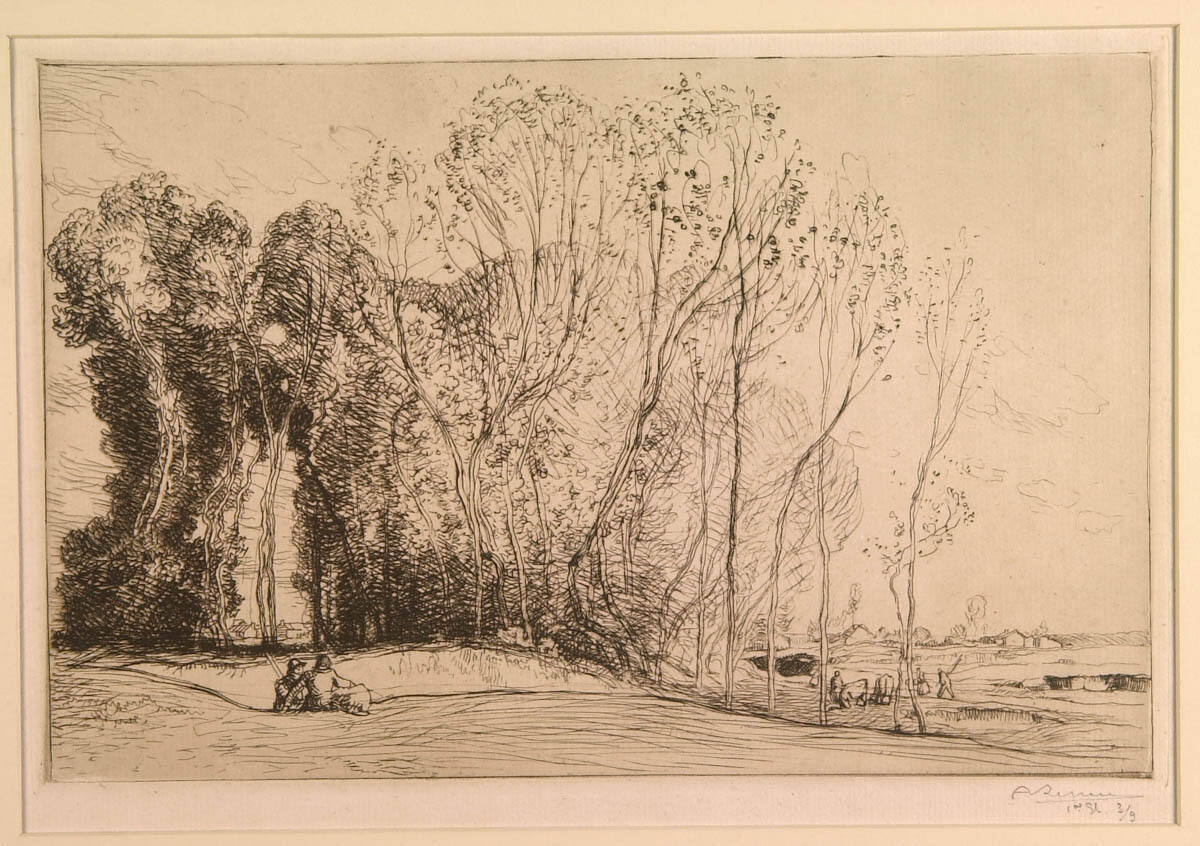 Belle Matinée d'Automne