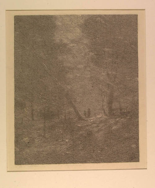 Moonlit Woods