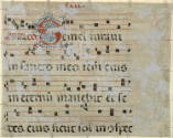 verso overall