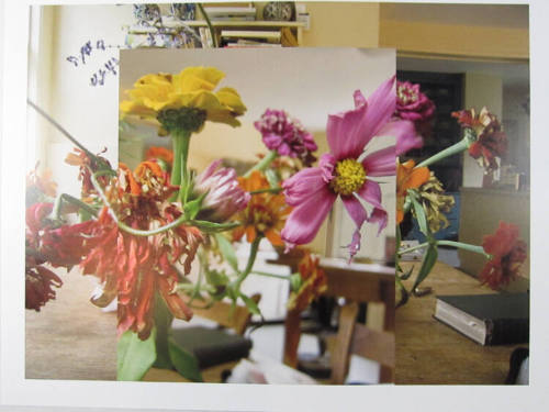 October Flowers 6586