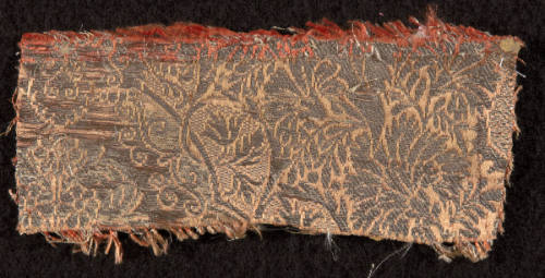 Fragment