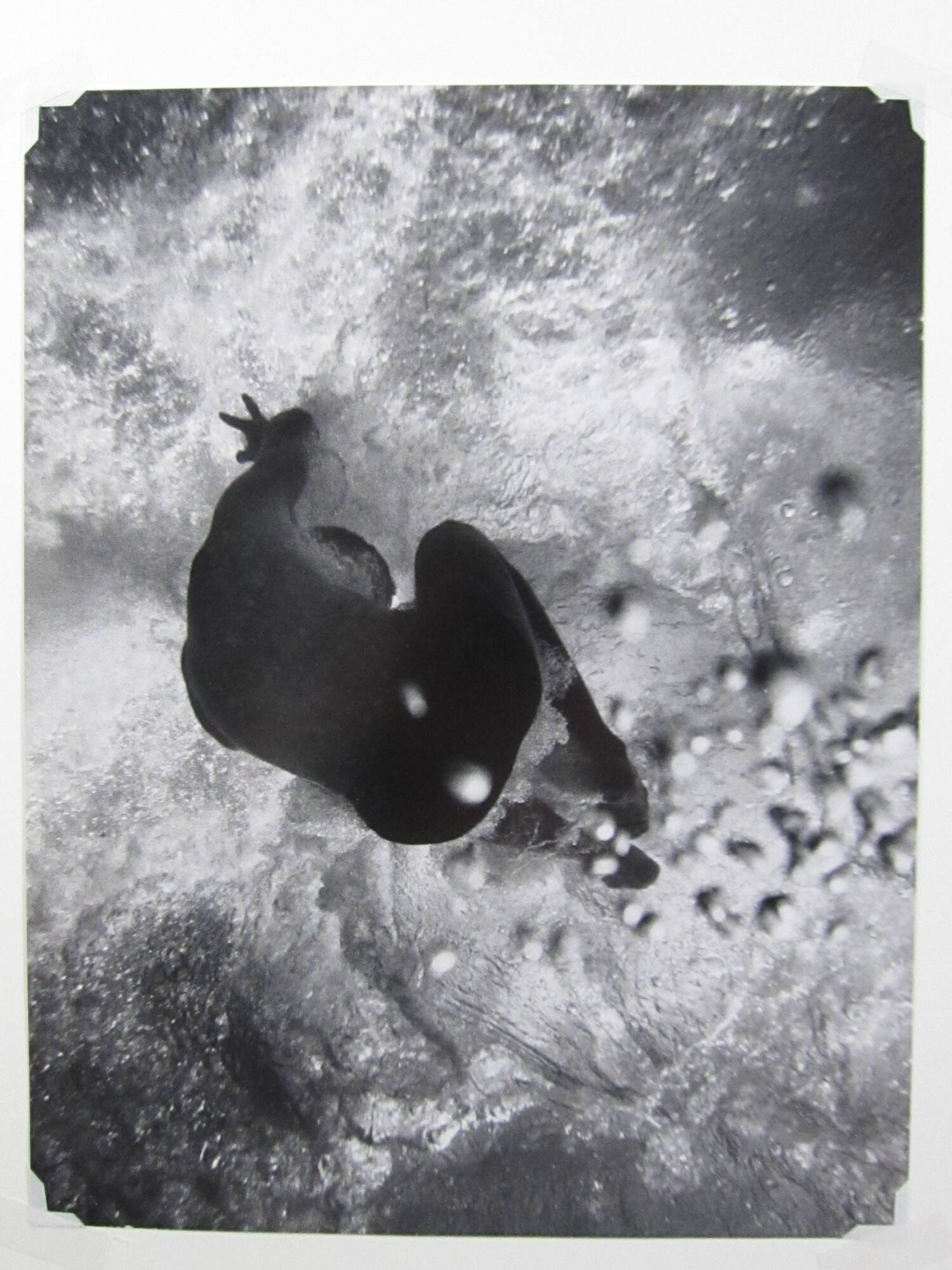 Crouching figure in water seen from below
