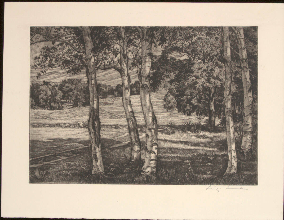 Between Birches
