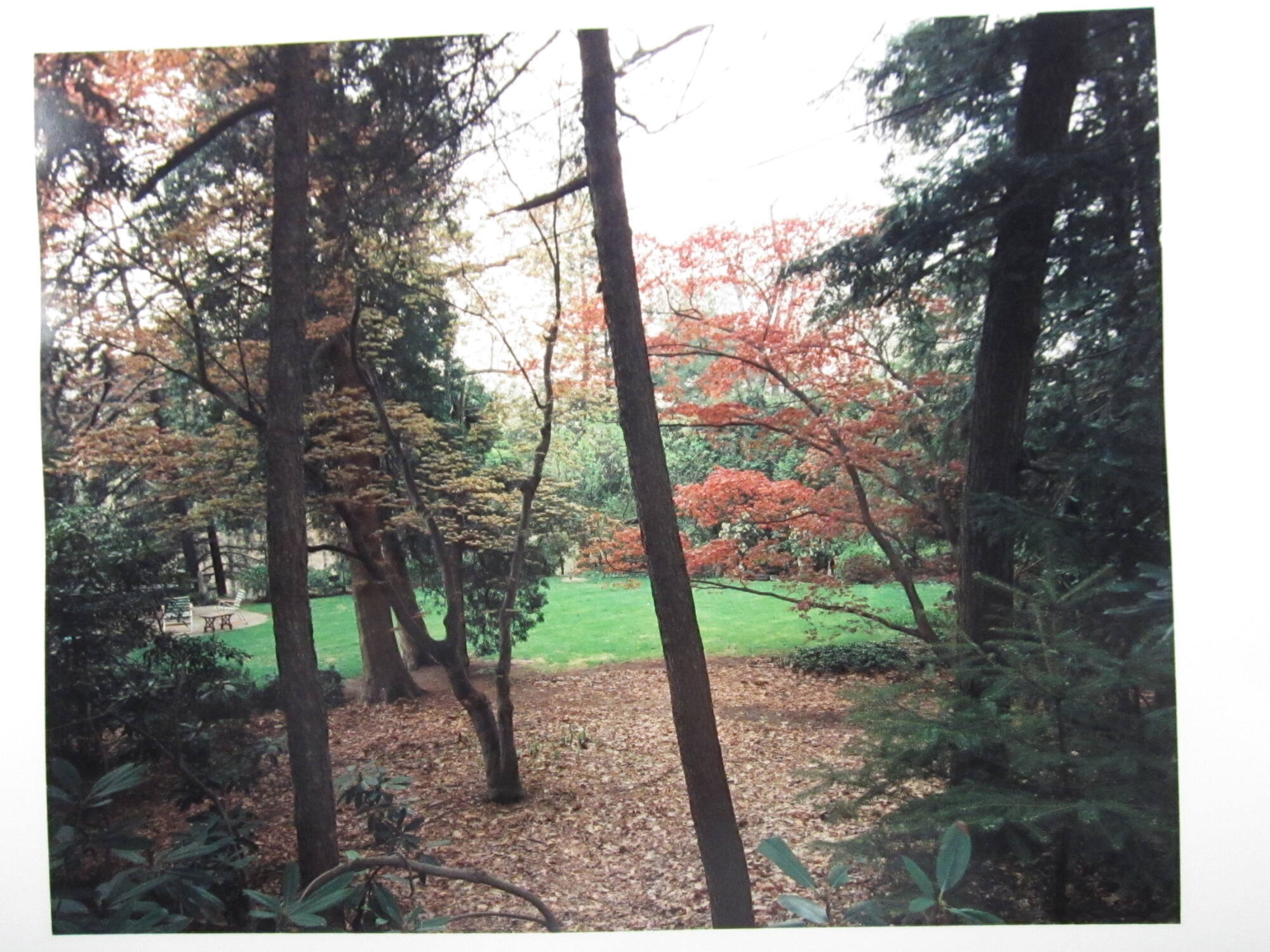 Saddle River, NJ