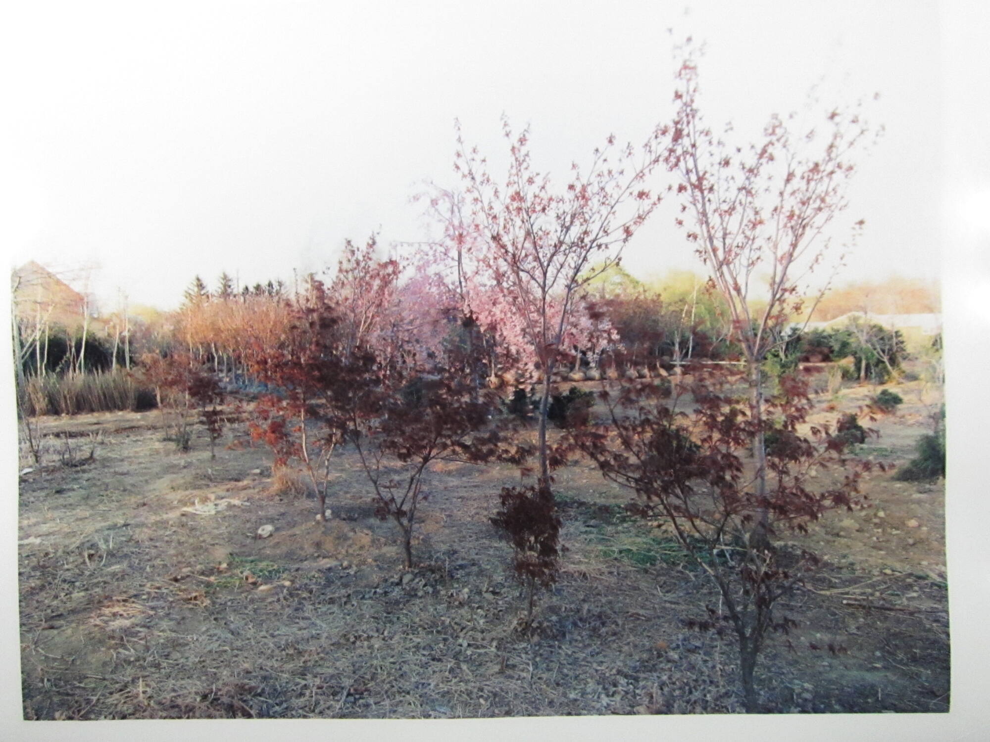 Paramus, NJ