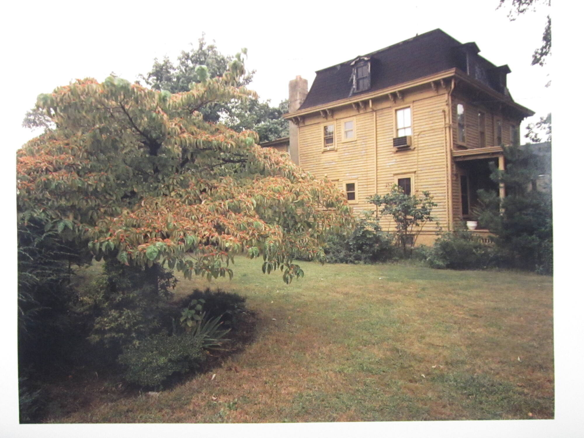 Westwood, NJ