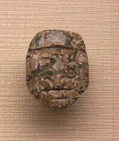 Head