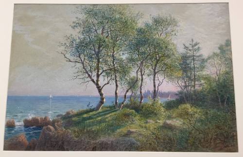 William Stanley Haseltine