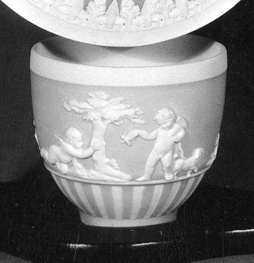 Cup