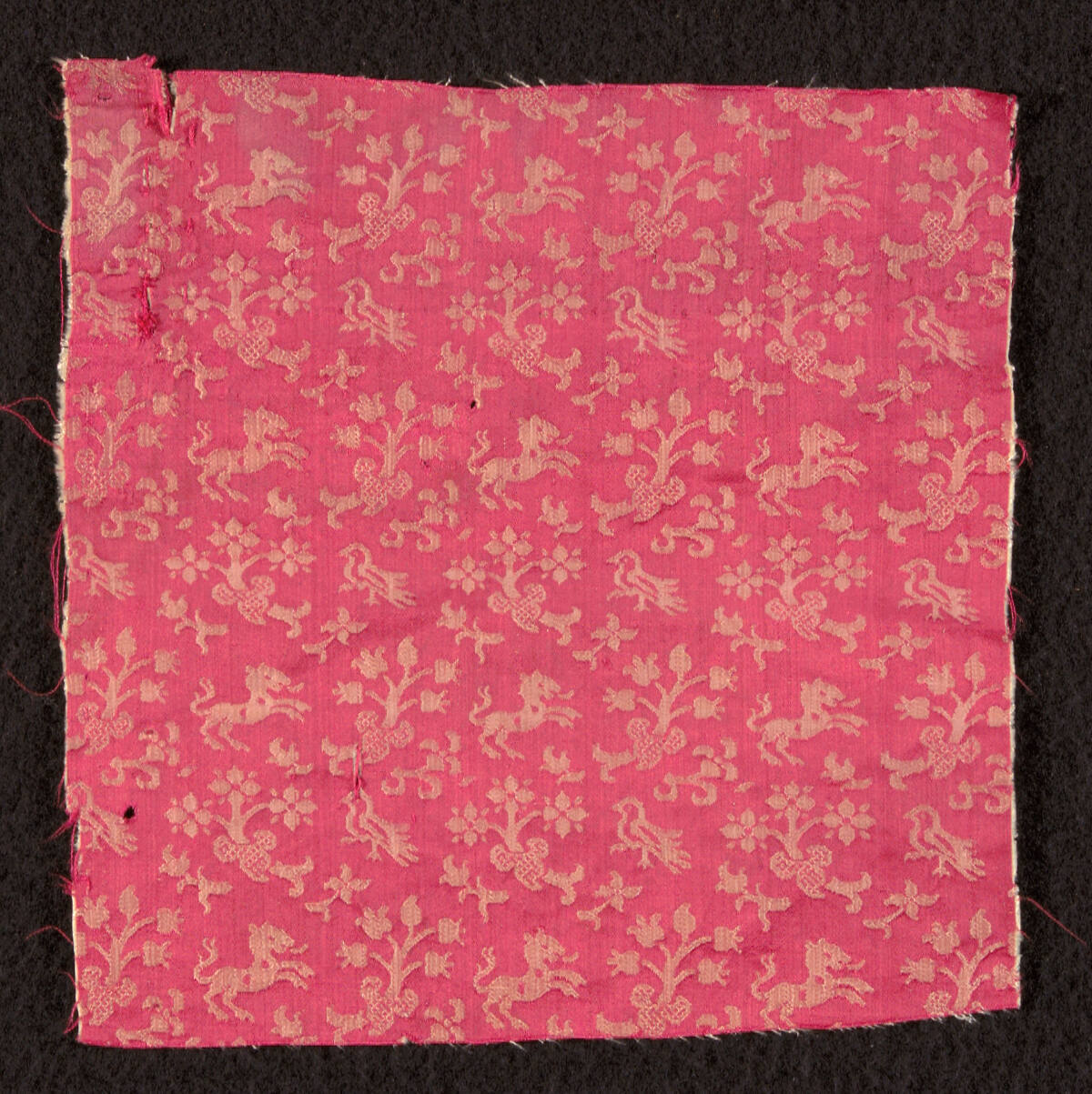 Fragment