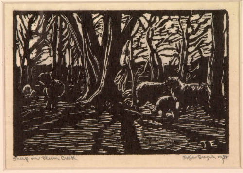 Sheep on Plum Creek