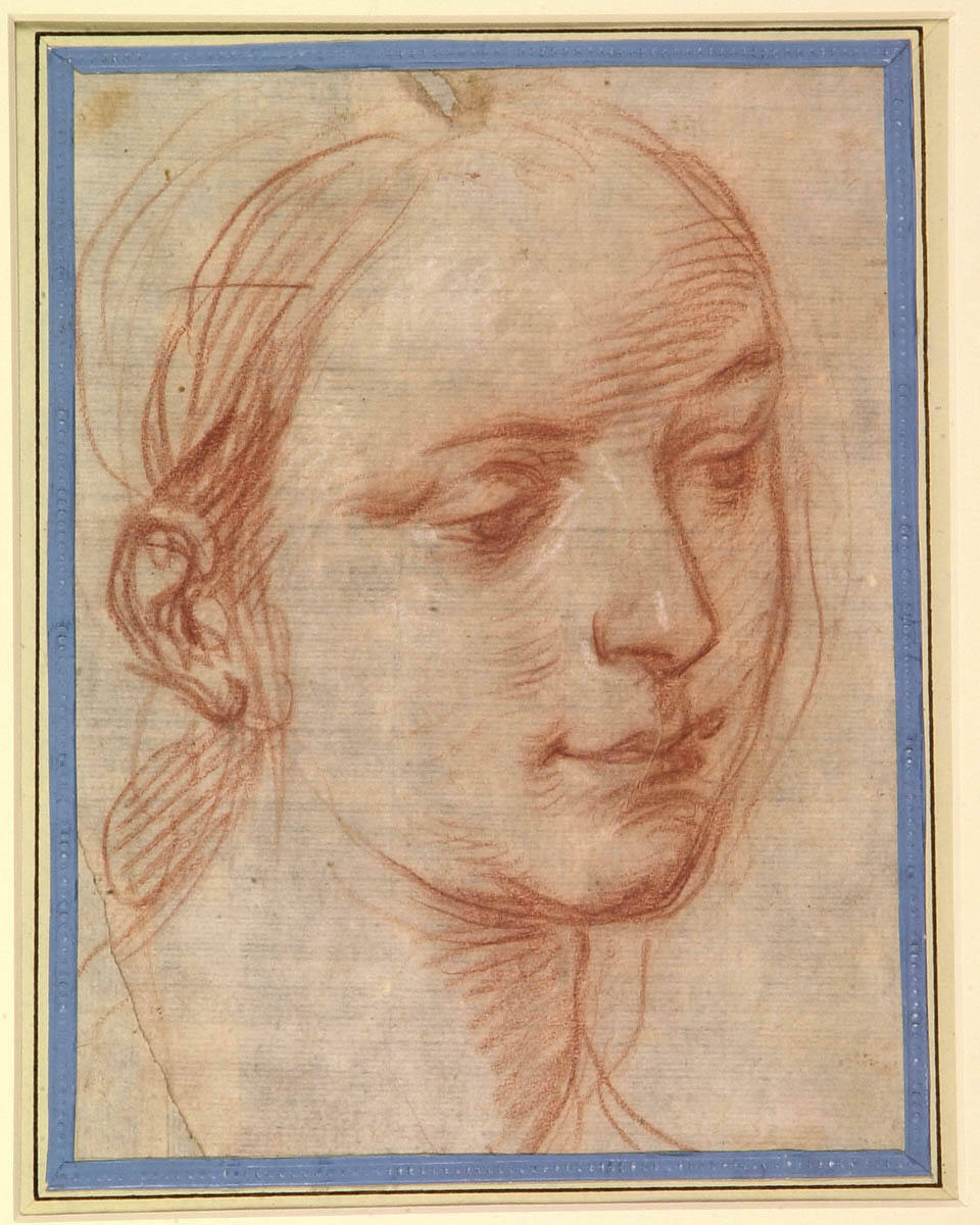 Head of a Woman