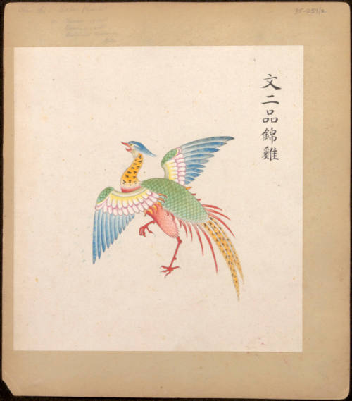 Illustrated Insignias