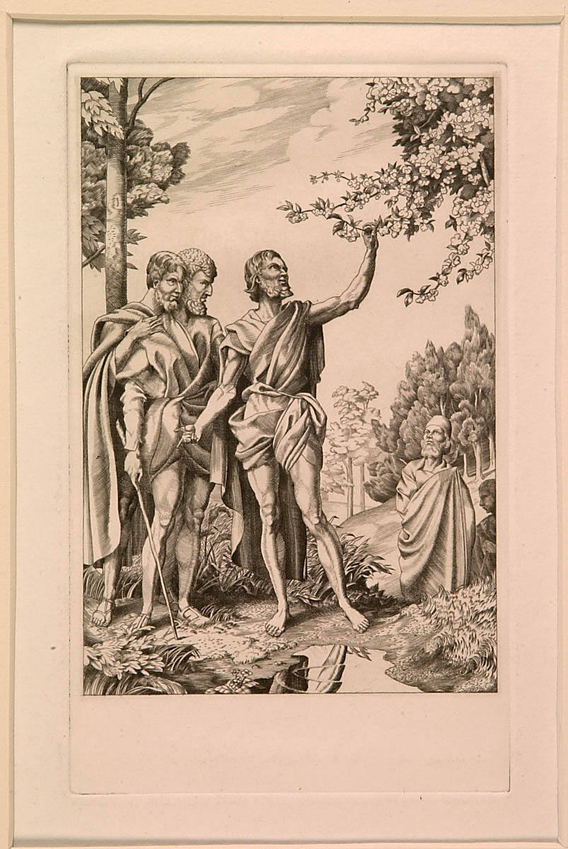 Parable of the Fruit Tree