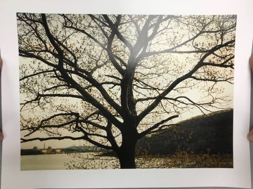 Indian Point Nuclear Plant, Hudson River, New York