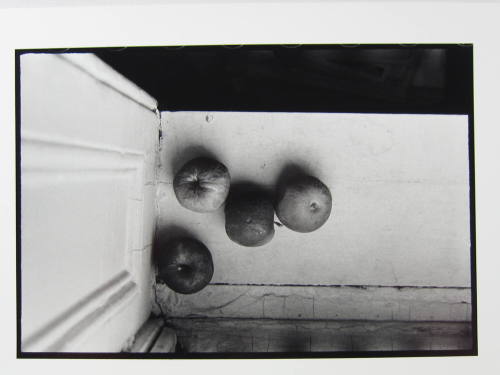 Ann Treer's Window, New York, NY