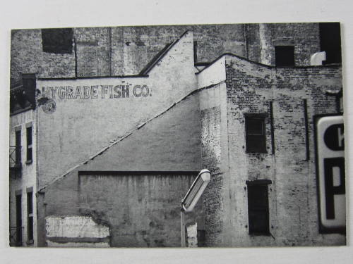 Fulton & Pearl Streets