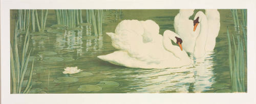 Swans