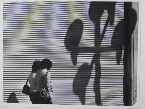 Two women, a large blind, and shadows
