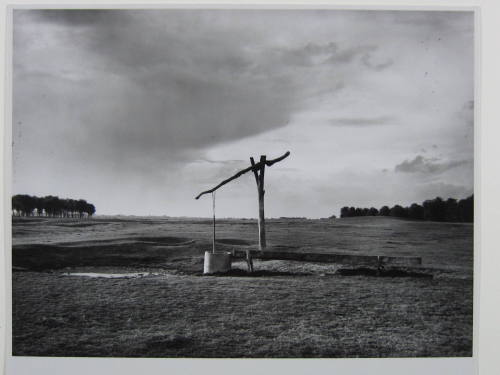 Hungarian Landscape, Puszta