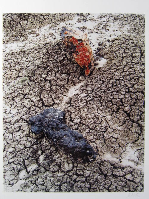 Stones and cracked mud. Black Place, New Mexico