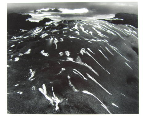 Birdlime and Surf, Point Lobos, California