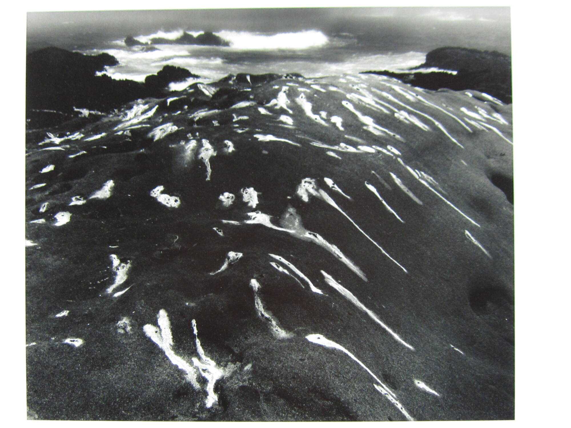 Birdlime and Surf, Point Lobos, California