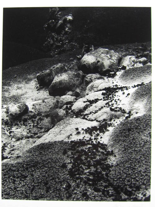 Ritual Stones, Notom, Utah