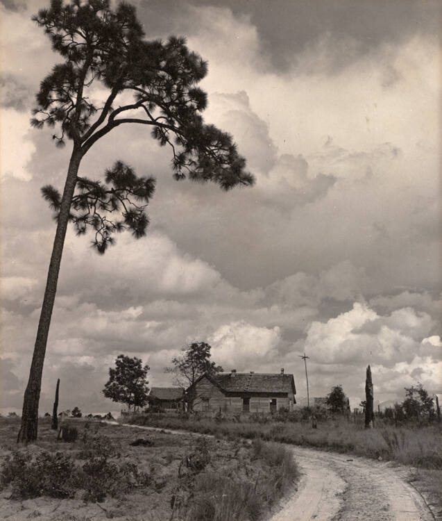 Home of tenant farmer who is to be resettled, Irwinville Farms, Georgia