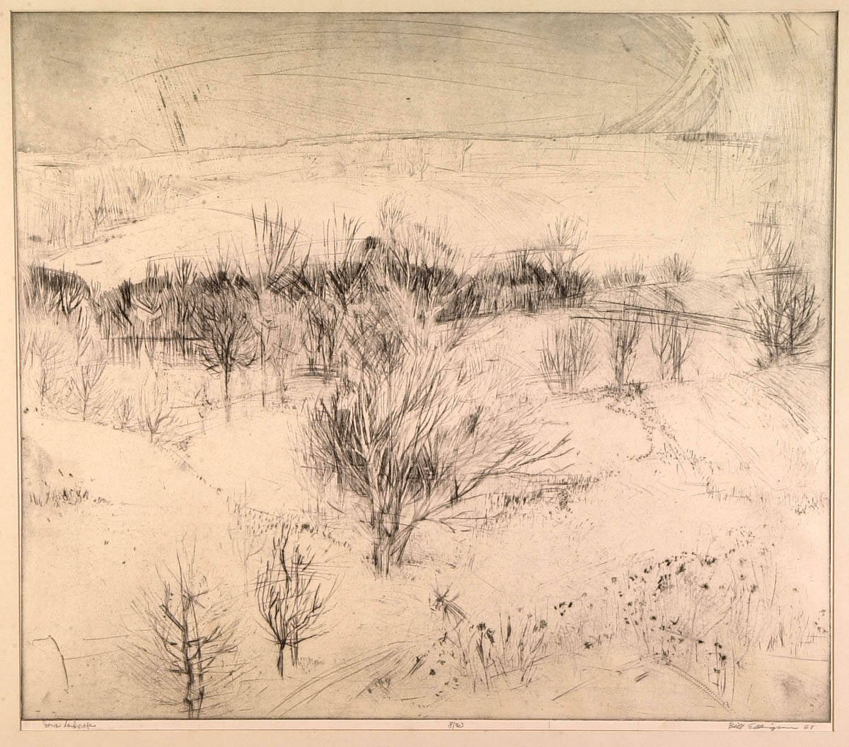 Iowa Landscape