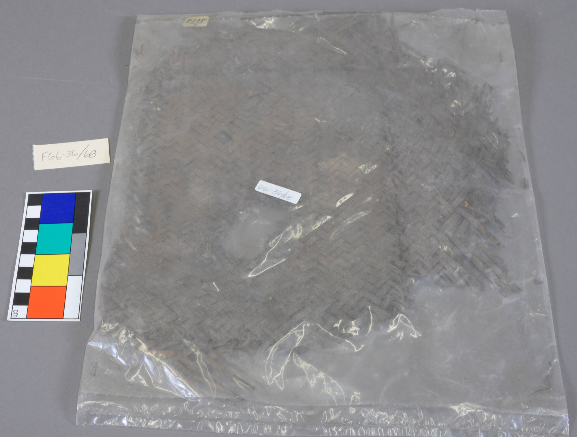 Basket Fragment