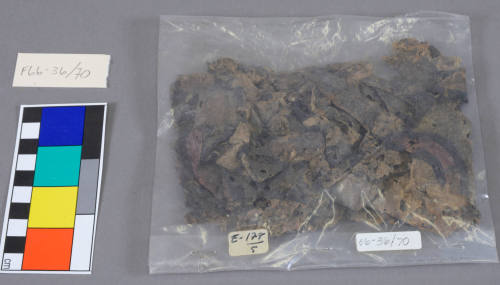 Miscellaneous Fiber Fragment