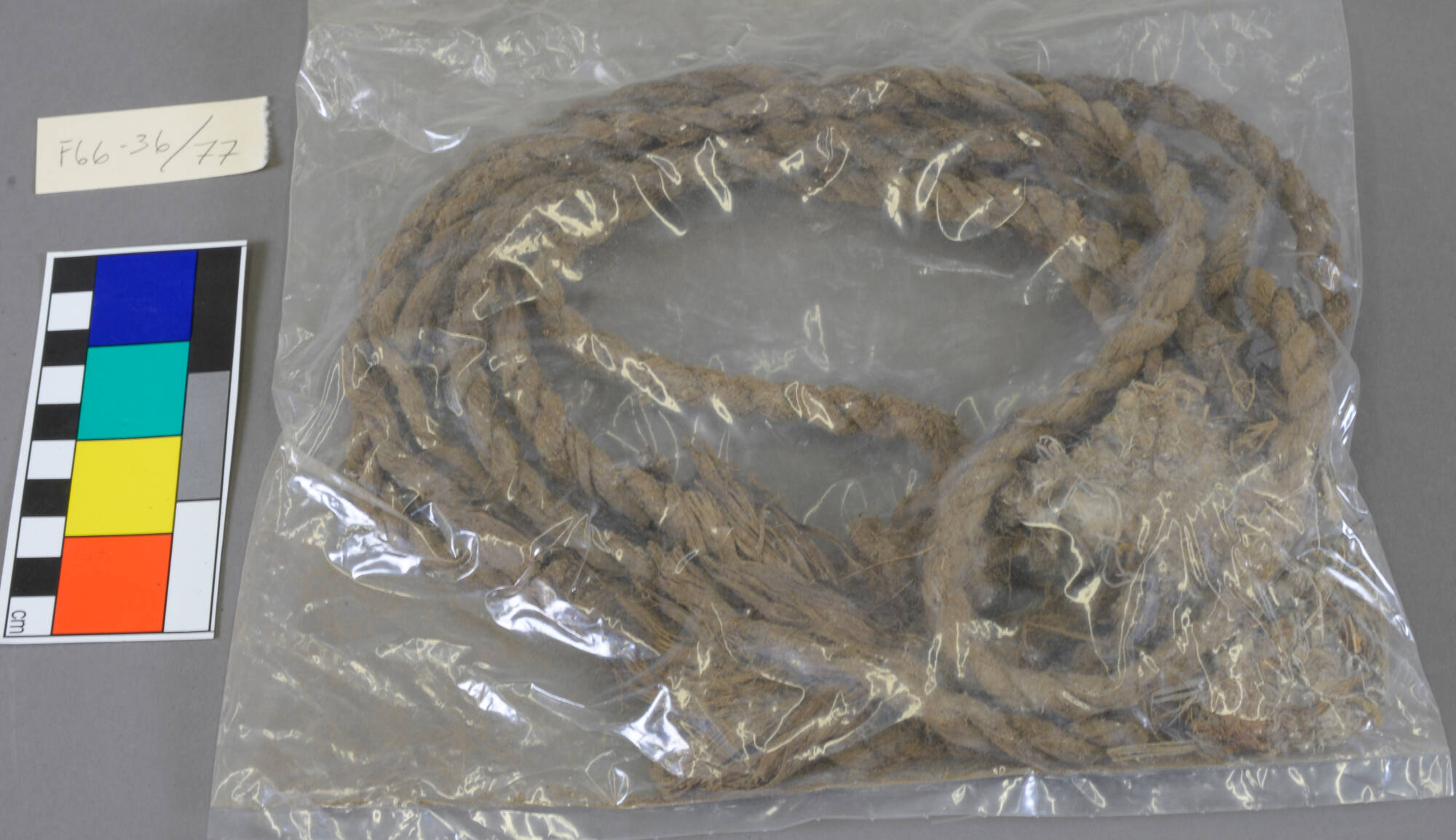 Section of Rope