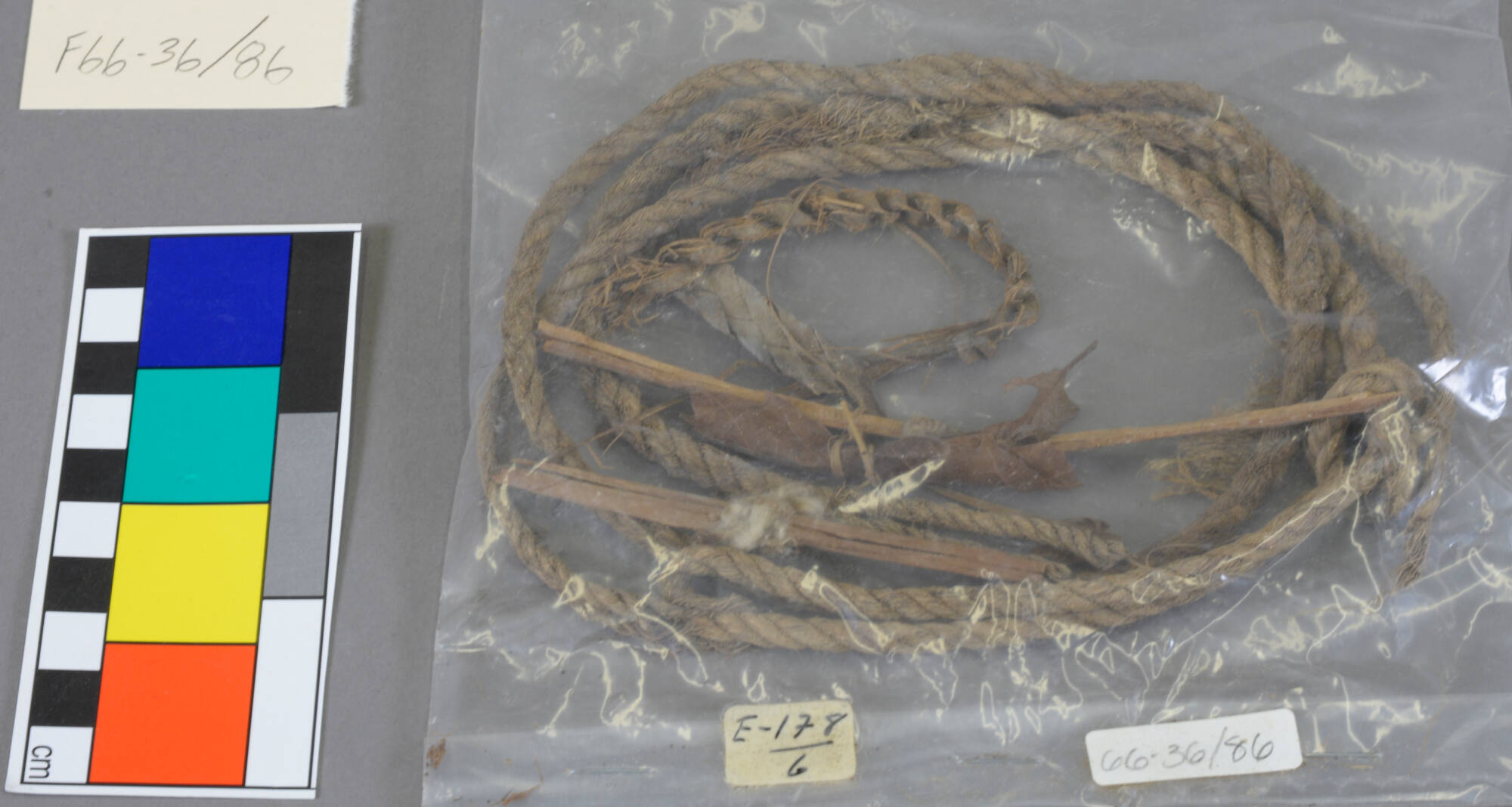Rolled Leaves with Fiber