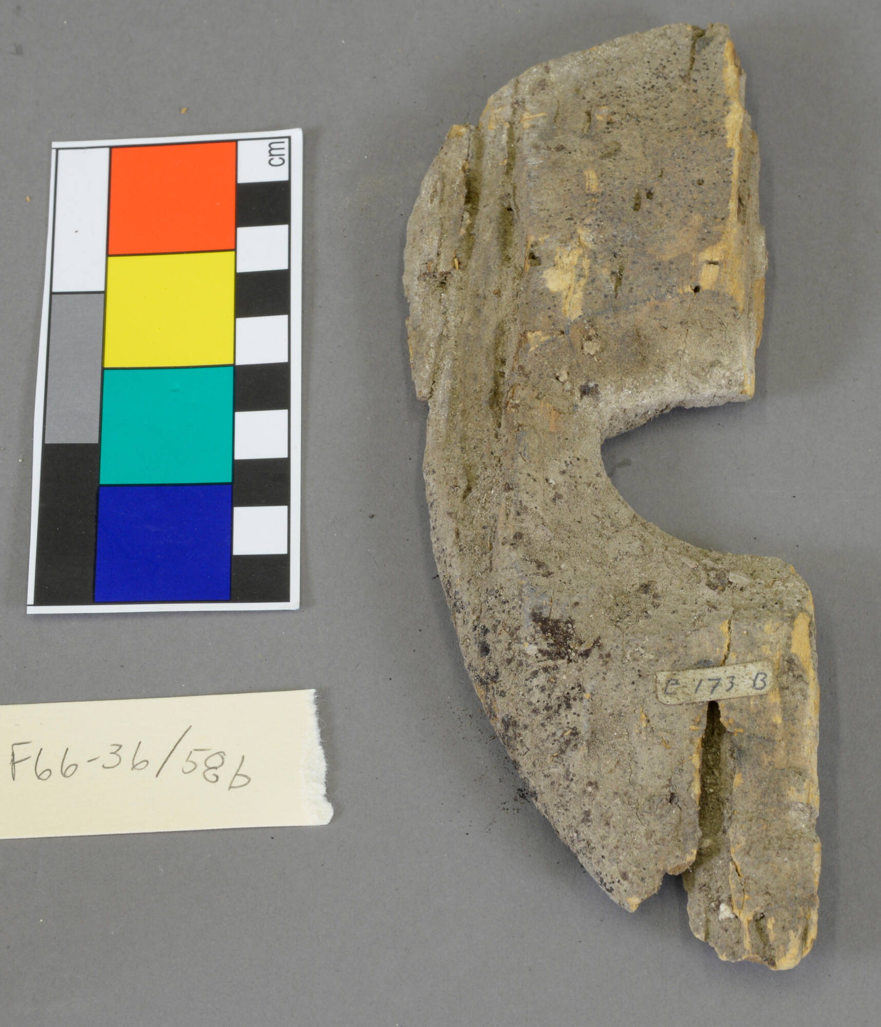 Fragment
