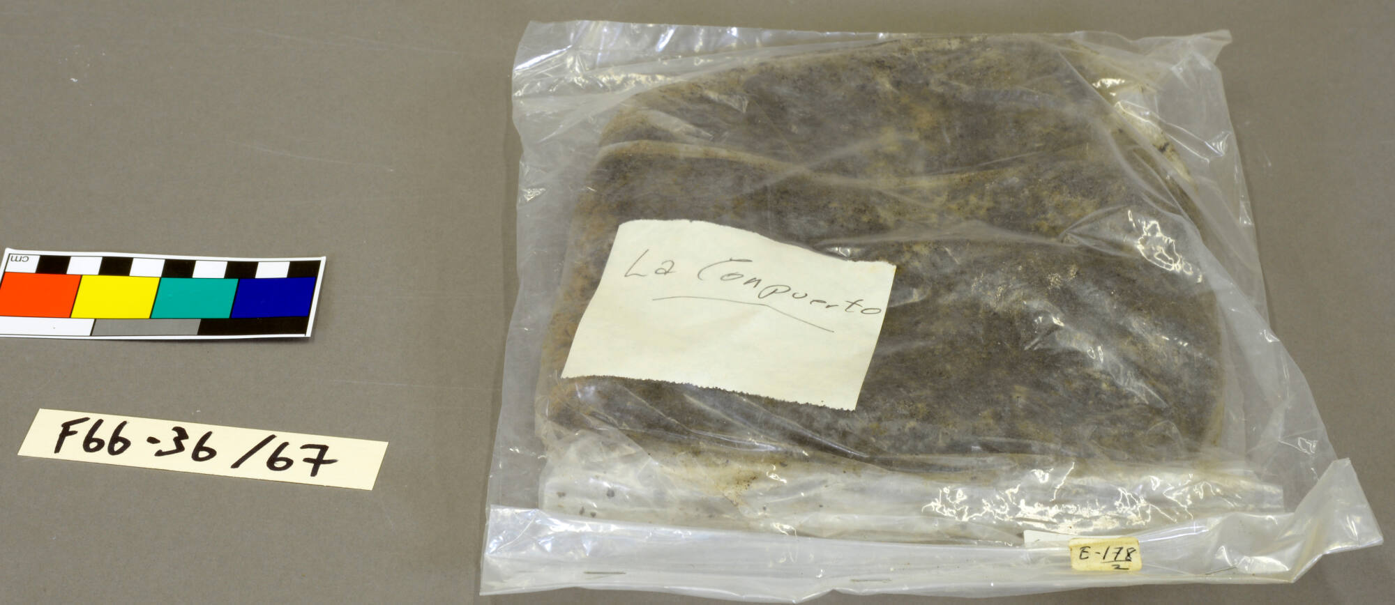 Miscellaneous Fiber Fragment