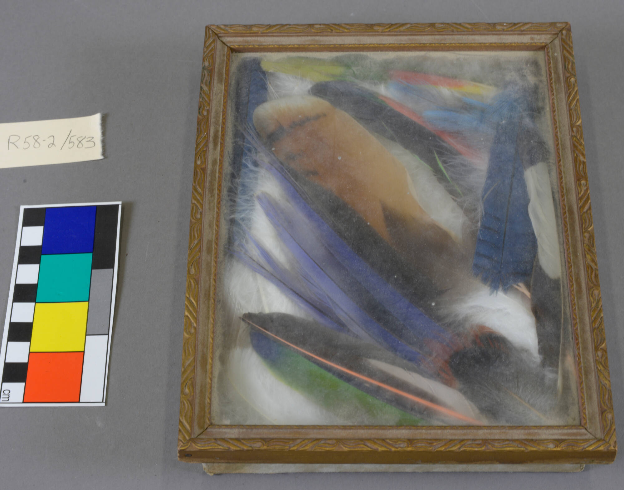 Feathers