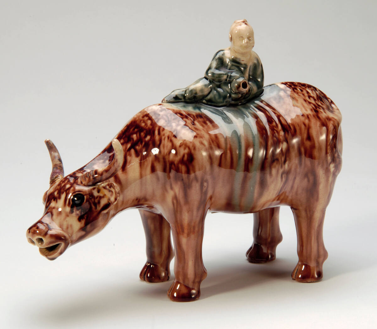 Asiatic Buffalo