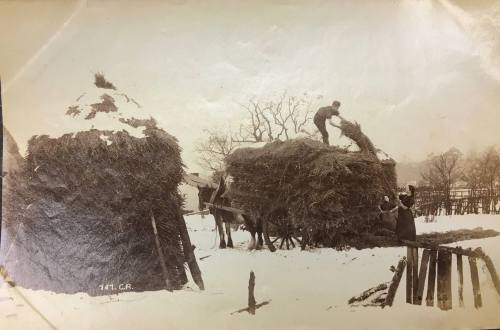 Rural study